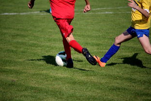 开云平台-里昂轻取巴黎圣日耳曼，凯恩乌龙送礼法甲