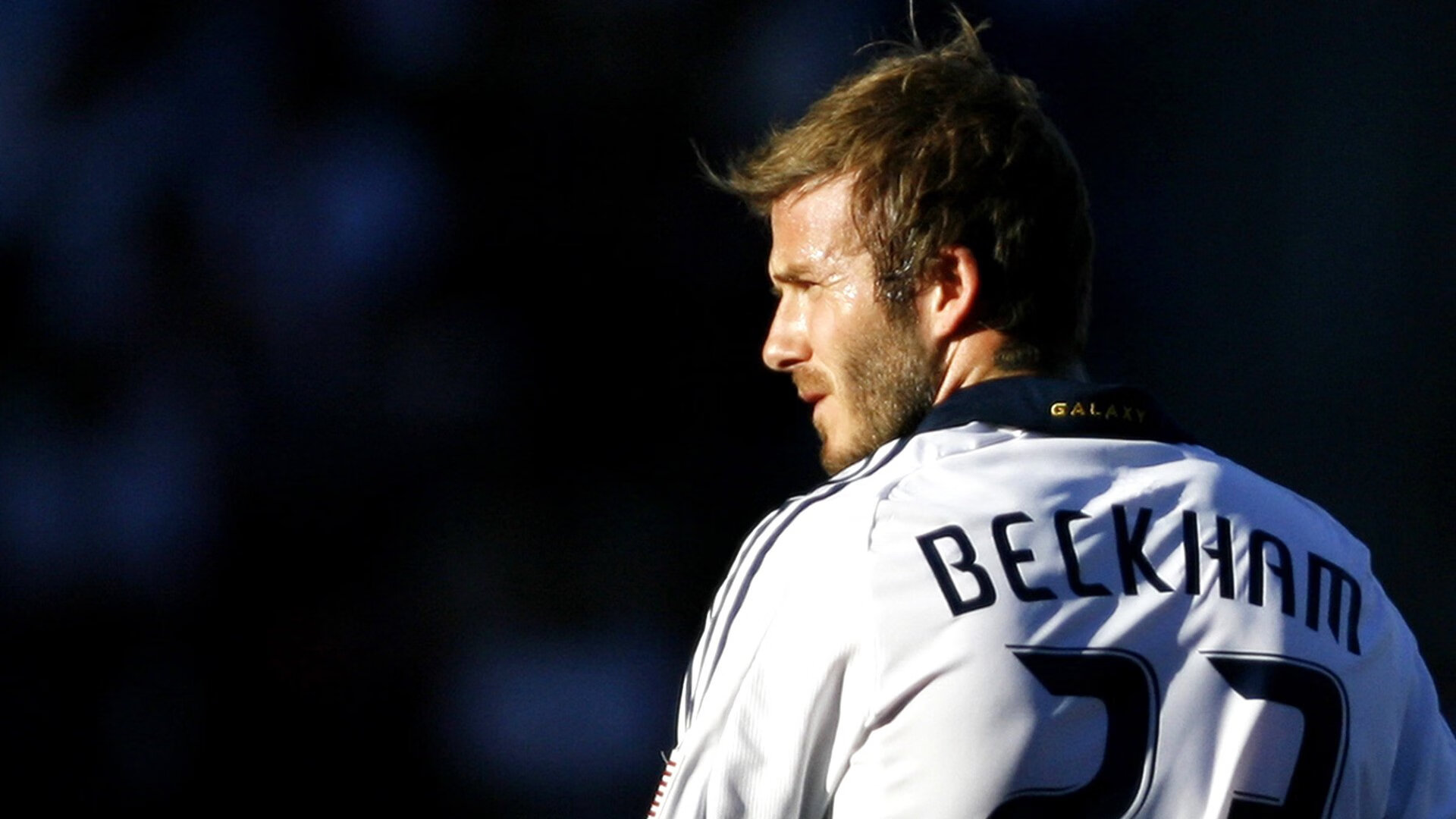 勇士王朝最后一道裂缝？森林狼狼性防守绞杀库里，范弗利特冷血一击定乾坤